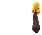 600966_quack-in-tie_b_3